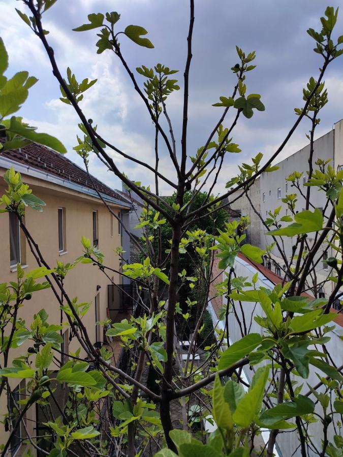 Centar Novi Sad-Apartman No 3 Luaran gambar