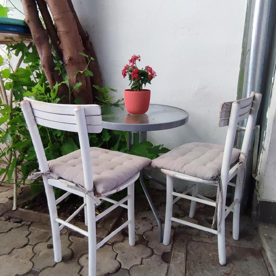 Centar Novi Sad-Apartman No 3 Luaran gambar