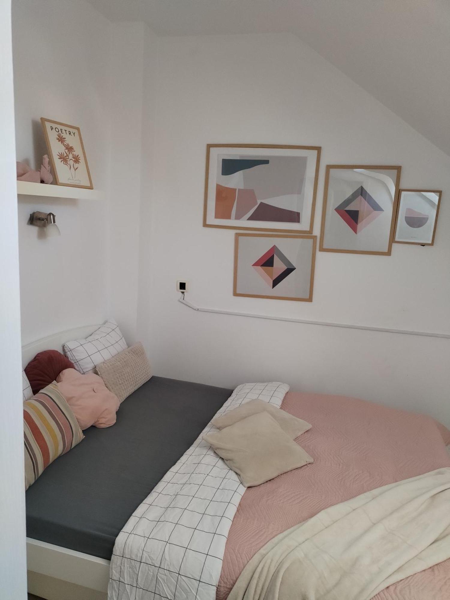 Centar Novi Sad-Apartman No 3 Luaran gambar